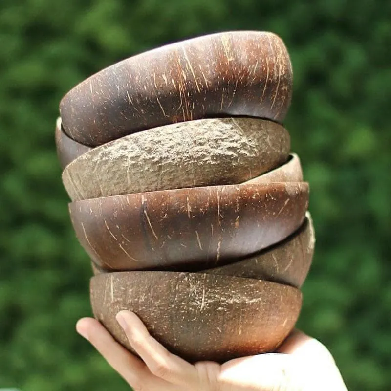 Natural Coconut Bowl