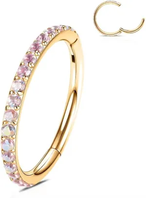 WBRWP 316L Stainless-Steel Hinged Nose Rings Hoop : 20G 18G 16G 14G Womens and Mens Body Pierecing Ring Segment Ring Lip Rings Nose Helix Cartilage Rook EarringsDiameter 6mm 8mm 10mm 12mm