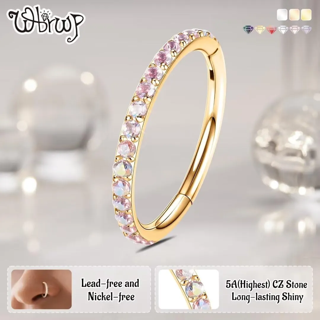 WBRWP 316L Stainless-Steel Hinged Nose Rings Hoop : 20G 18G 16G 14G Womens and Mens Body Pierecing Ring Segment Ring Lip Rings Nose Helix Cartilage Rook EarringsDiameter 6mm 8mm 10mm 12mm