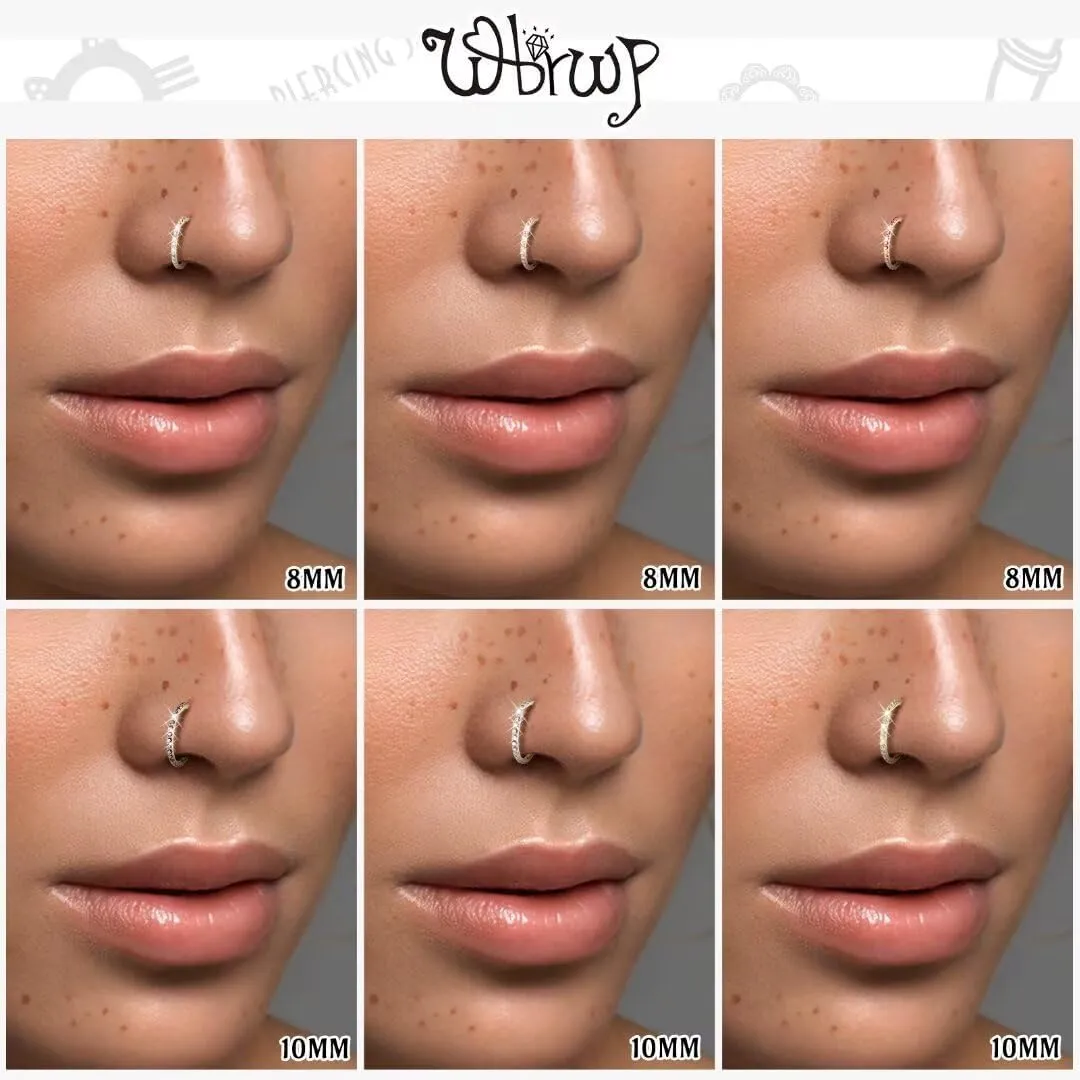WBRWP 316L Stainless-Steel Hinged Nose Rings Hoop : 20G 18G 16G 14G Womens and Mens Body Pierecing Ring Segment Ring Lip Rings Nose Helix Cartilage Rook EarringsDiameter 6mm 8mm 10mm 12mm
